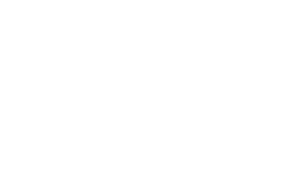northwind wellness white logo
